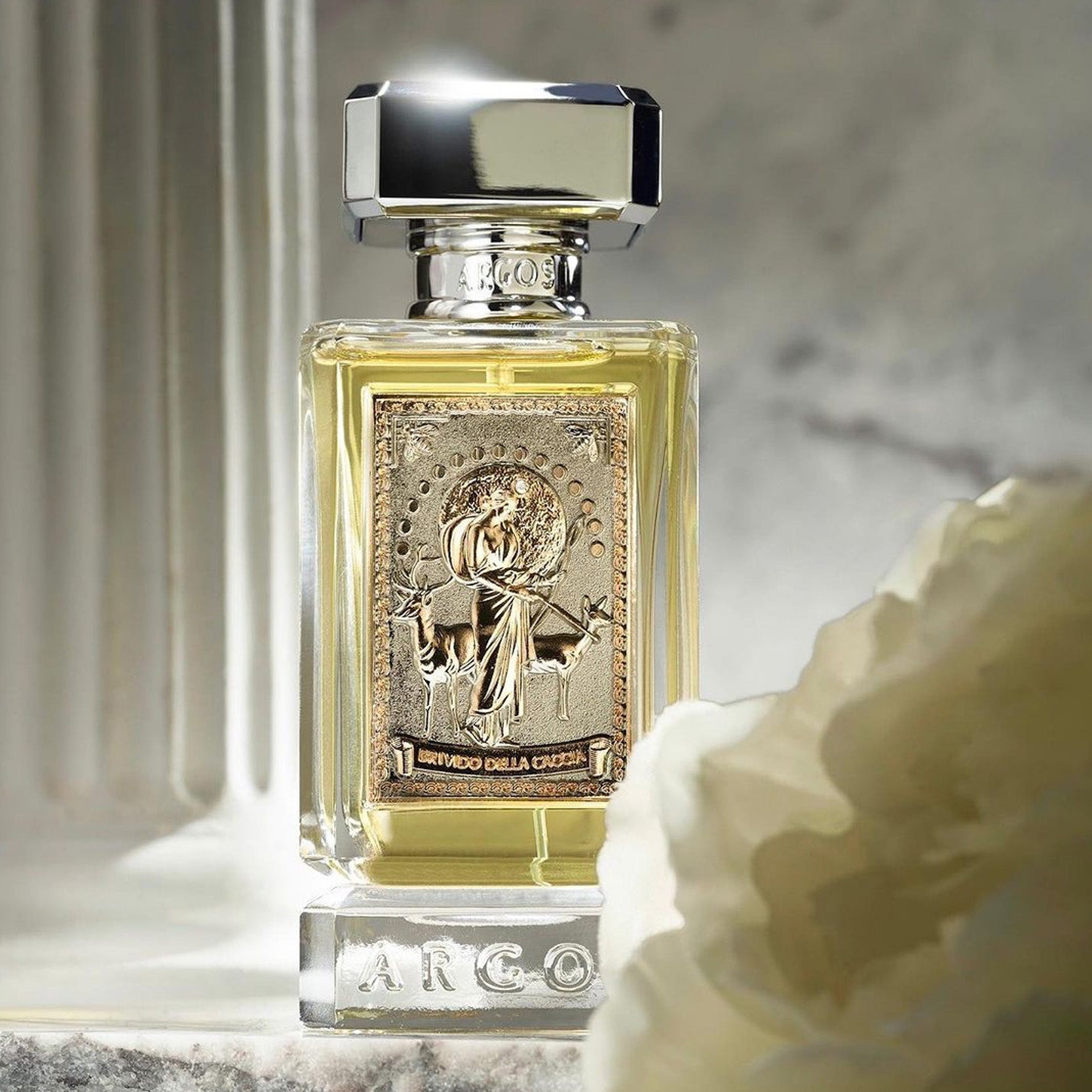 Brivido Della Caccia | Eau de Parfum - NEVERABORE