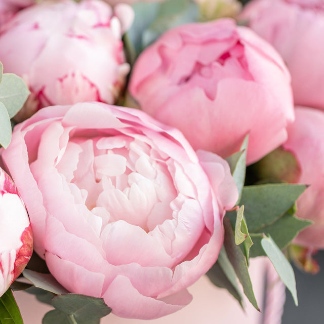 モリナール MOLINARD ROSE EMOIS 90ml 新品未開封品 Rose | Molinard collection | Neverabore.com – NEVERABORE