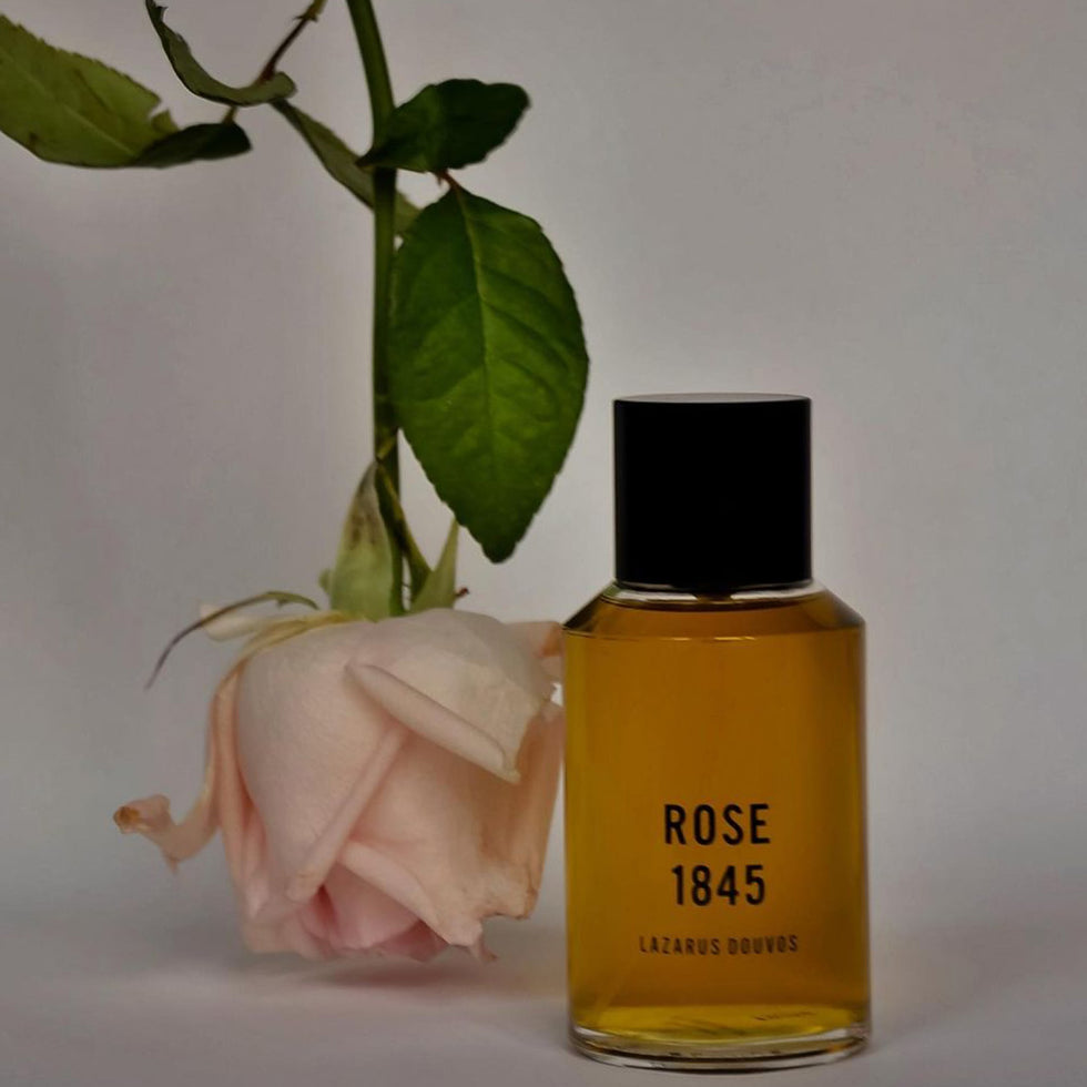 Rose 1845 - Eau de Parfum by Lazarus Douvos Neverabore – NEVERABORE