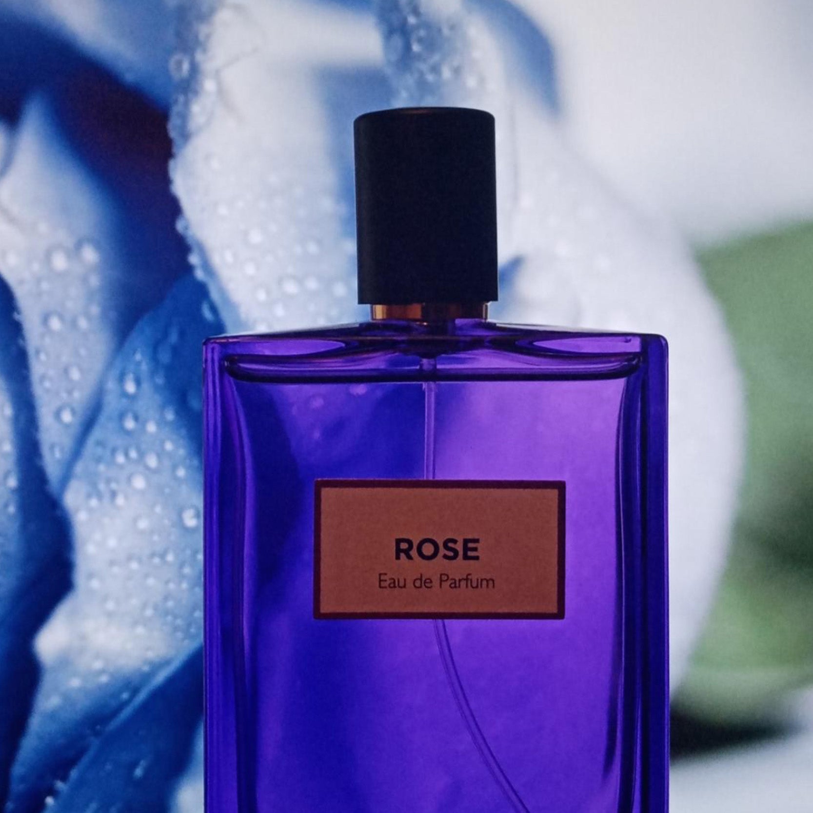 Rose | Eau de Parfum - NEVERABORE