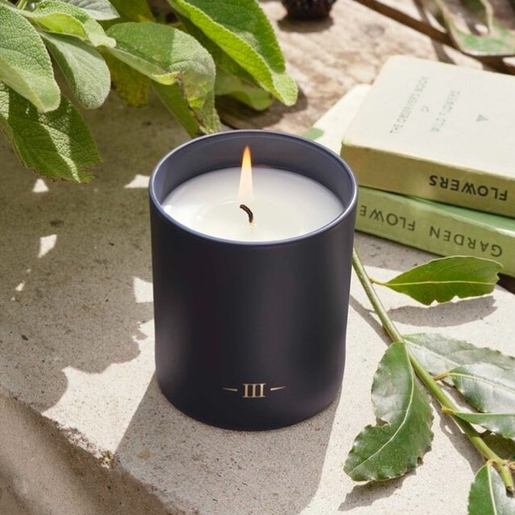 Rubus | Candle 7.4oz - NEVERABORE