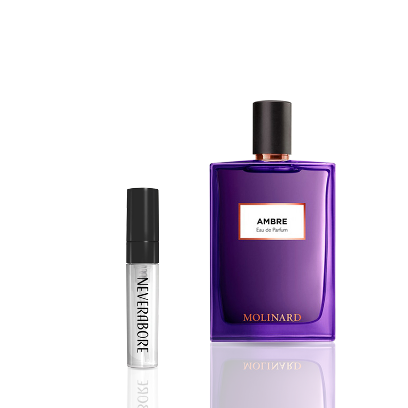 Ambre | Eau de Parfum - NEVERABORE