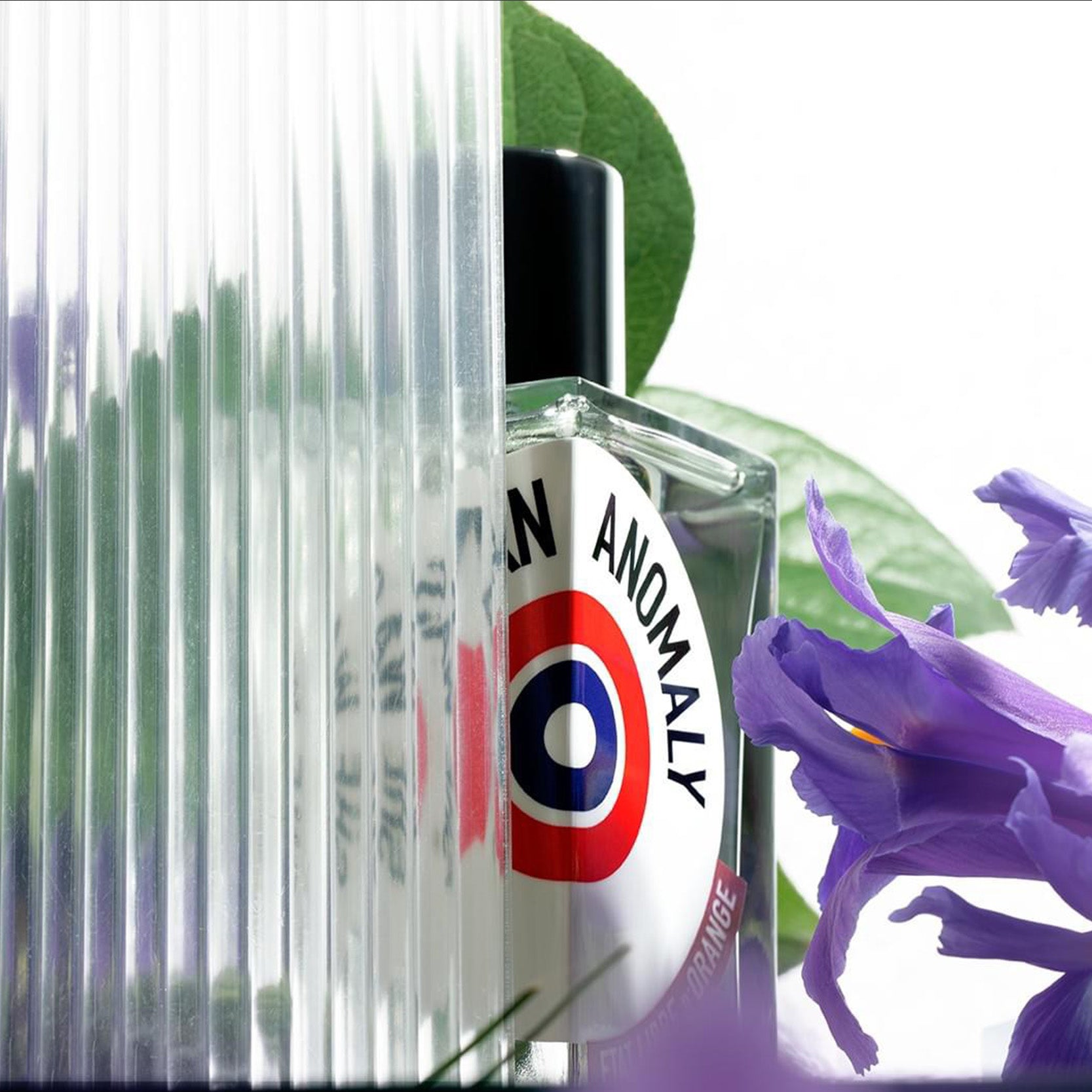 She Was An Anomaly | Eau de Parfum - NEVERABORE