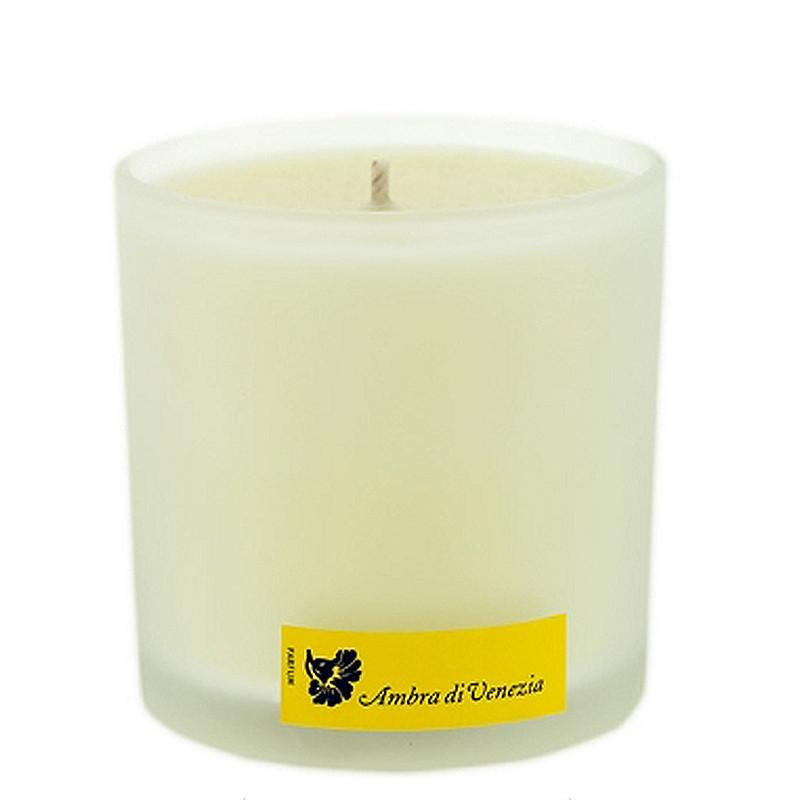 Ambra di Venezia | Candle 6.2oz - NEVERABORE