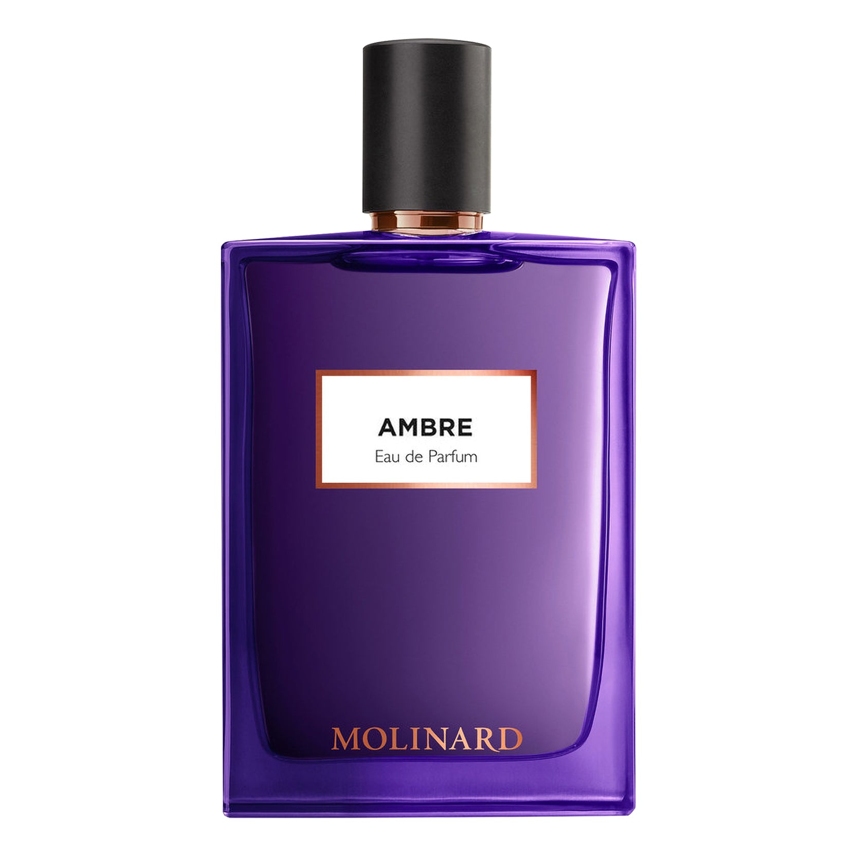 Ambre | Eau de Parfum - NEVERABORE