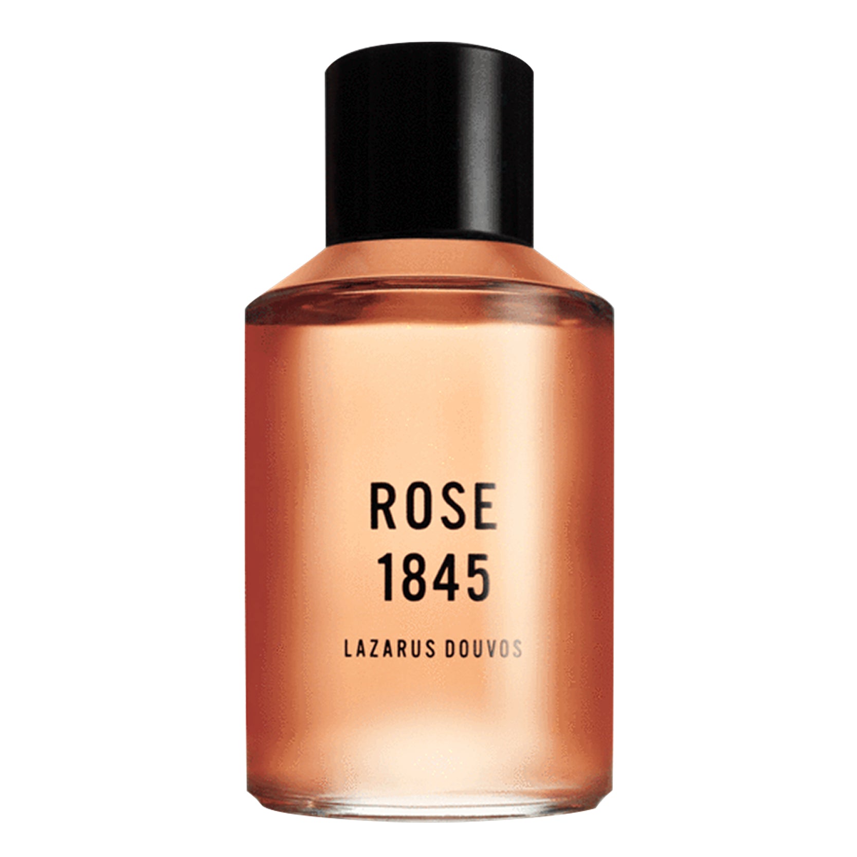 Rose 1845 | Hair Shampoo - NEVERABORE