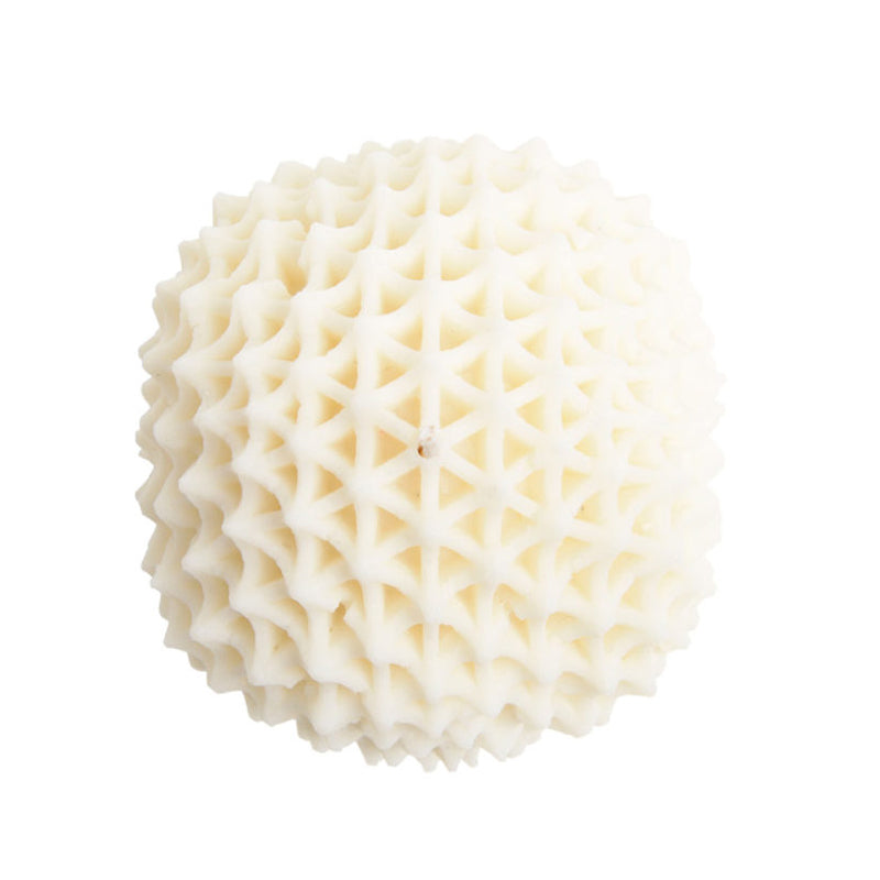 Passiflora | Candle - NEVERABORE